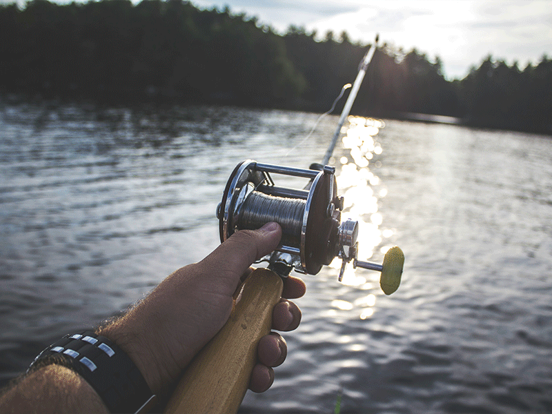 image of Fishing