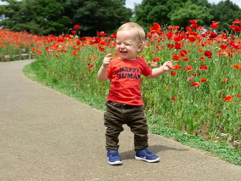 image of Boy's Shoes