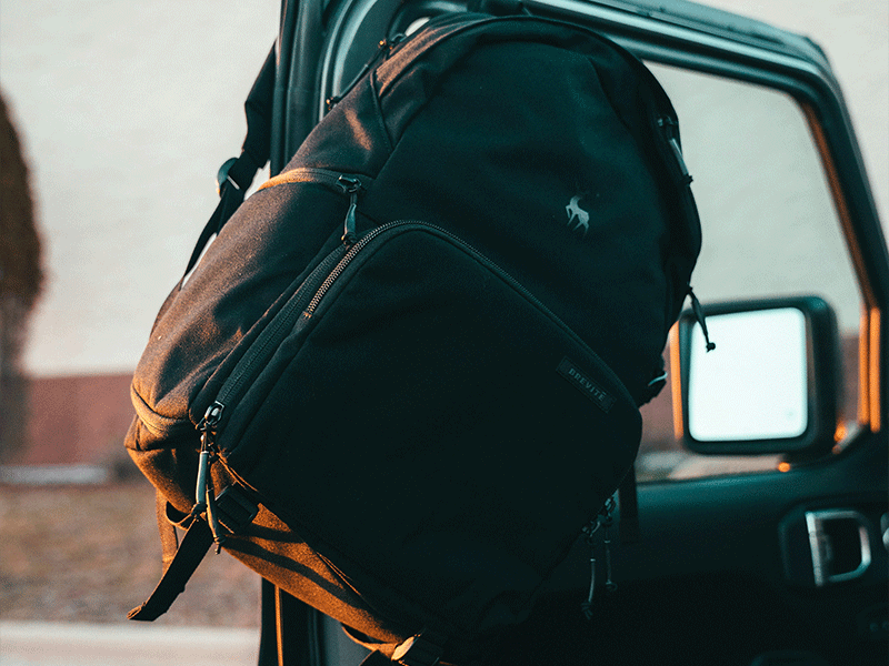 image of Backpacks & Carriers